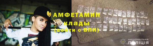 сатива Покачи