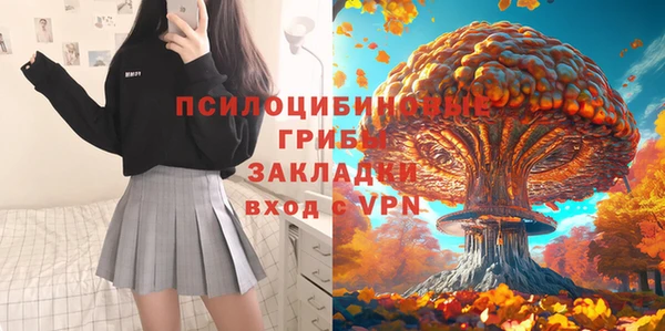 сатива Покачи